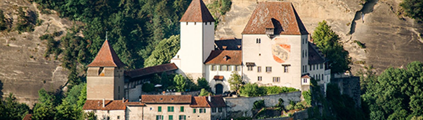 Schloss Burgdorf