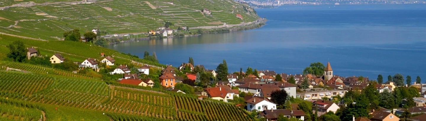 Vaud