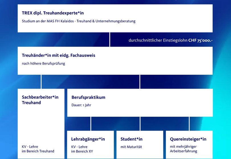 Grafik Karriereweg Quereinsteiger